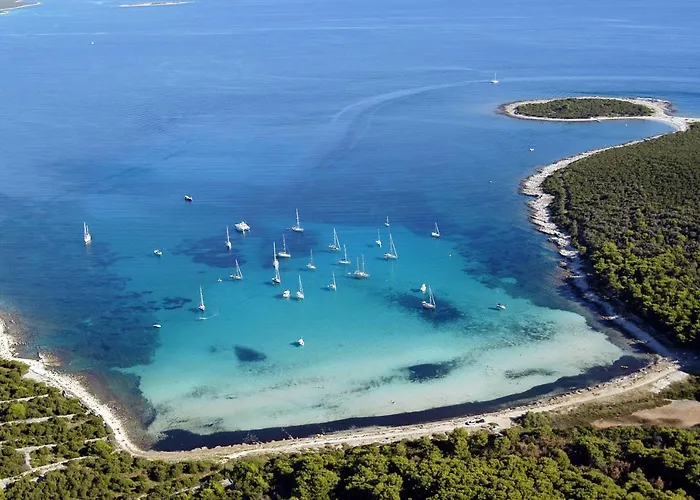 By The Sea Verunic, Dugi Otok - 8105 Apartment *