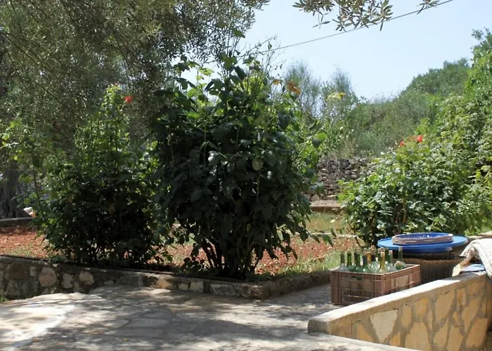 By The Sea Verunic, Dugi Otok - 8105 Apartment *