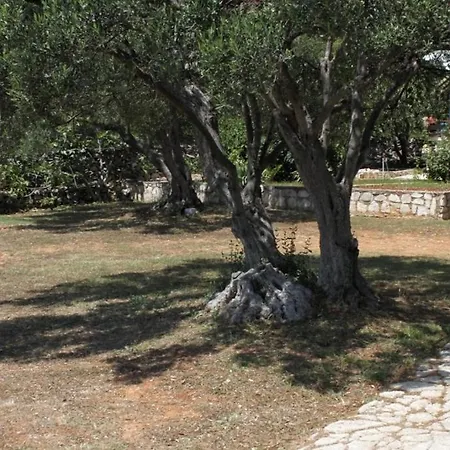 By The Sea Verunic, Dugi Otok - 8105