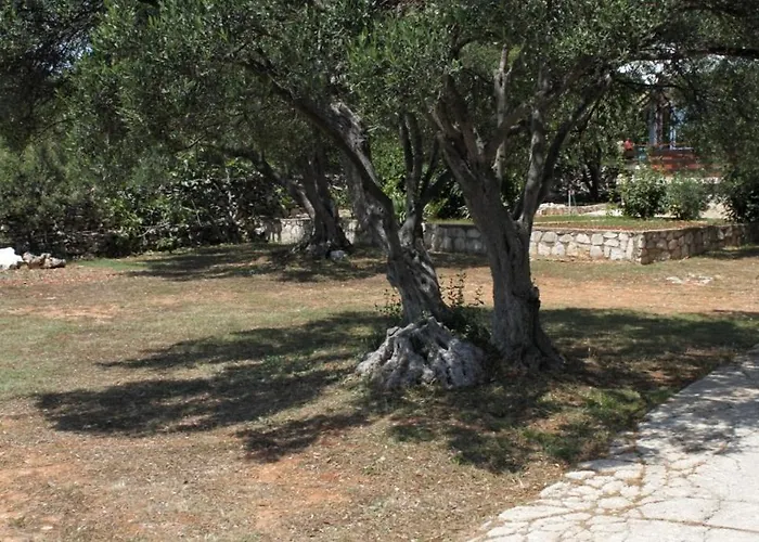 By The Sea Verunic, Dugi Otok - 8105